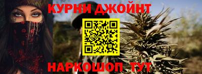 гидра Бийск