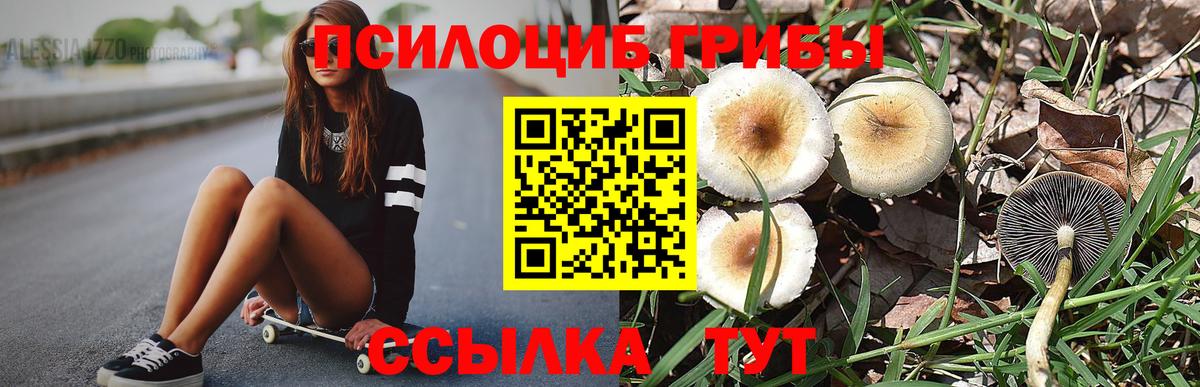 Галлюциногенные грибы мицелий  Галлюциногенные грибы GOLDEN TEACHER  Камень-на-Оби  Вход с VPN 
